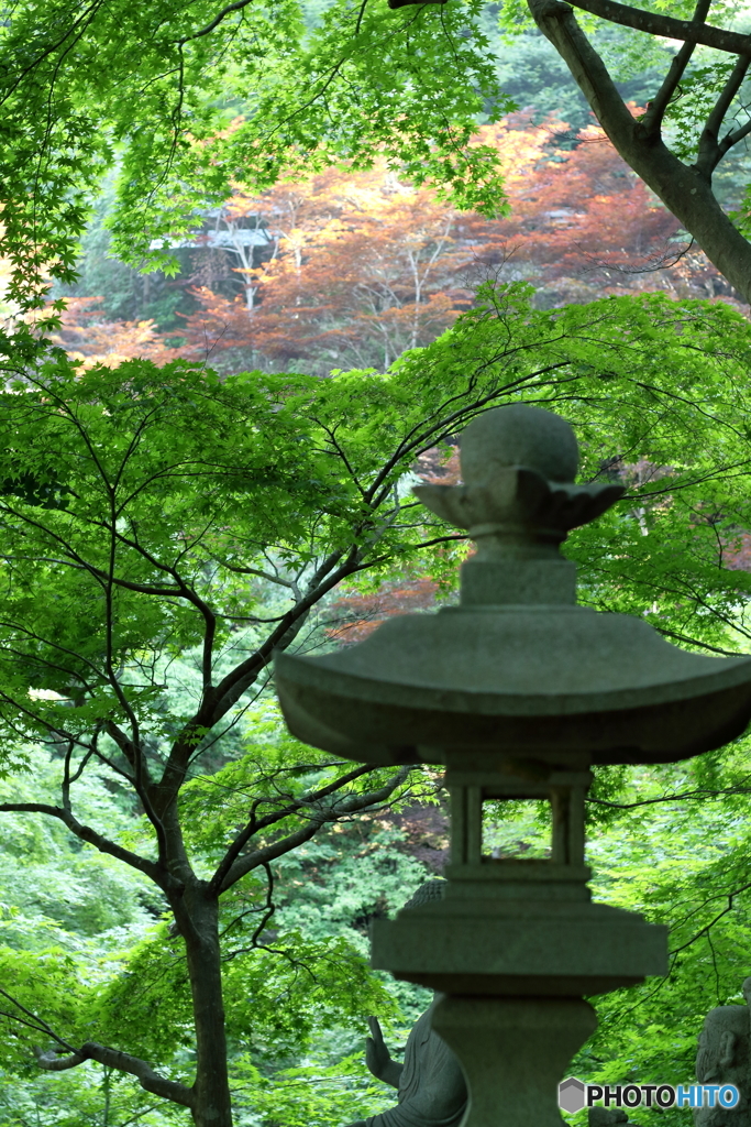 大山寺②