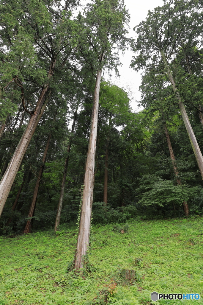 城山公園12