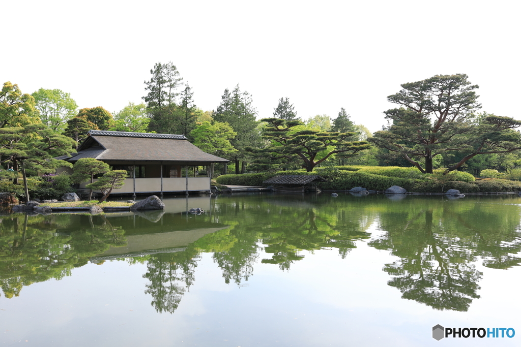 昭和記念公園⑪