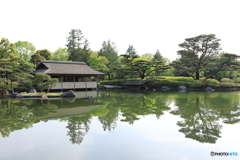 昭和記念公園⑪