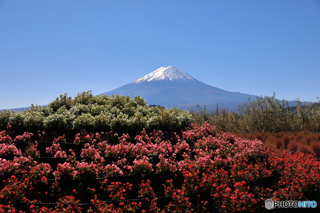 富士山と河口湖38