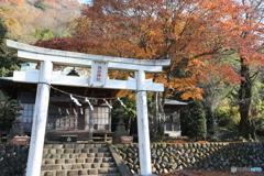 晩秋の神社