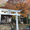 晩秋の神社