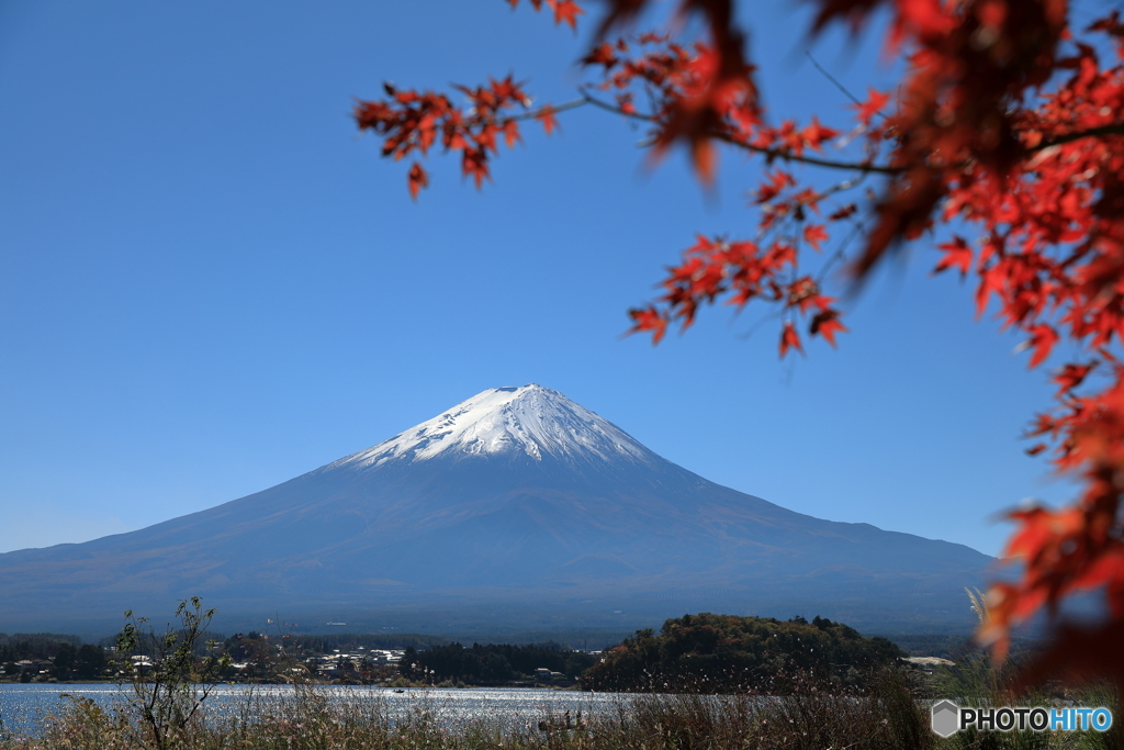 富士山と河口湖77