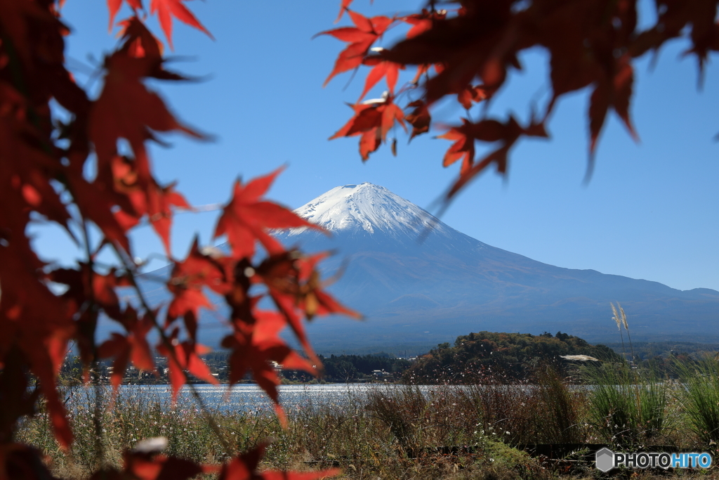 富士山と河口湖80