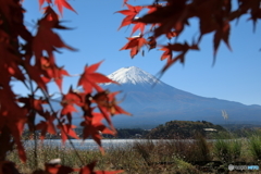 富士山と河口湖80
