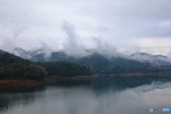 霧の宮ヶ瀬湖3