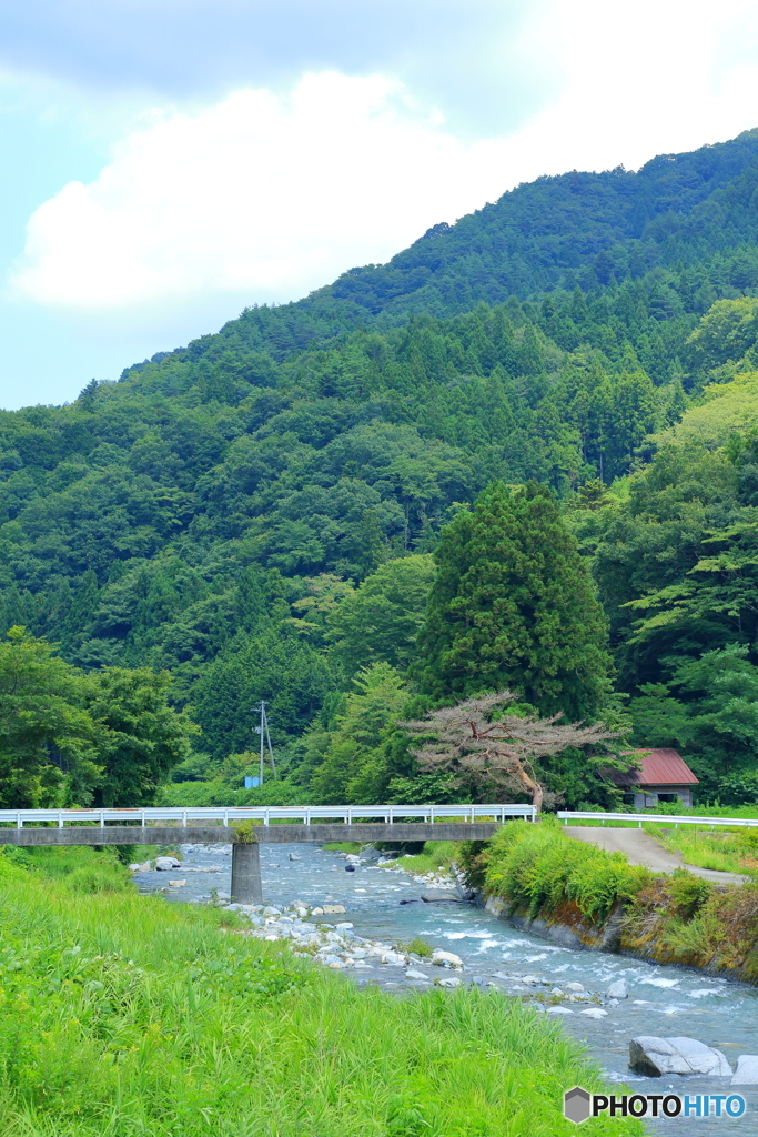 道志川①