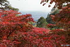 大山(神奈川県伊勢原市）11