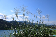 宮ケ瀬湖16