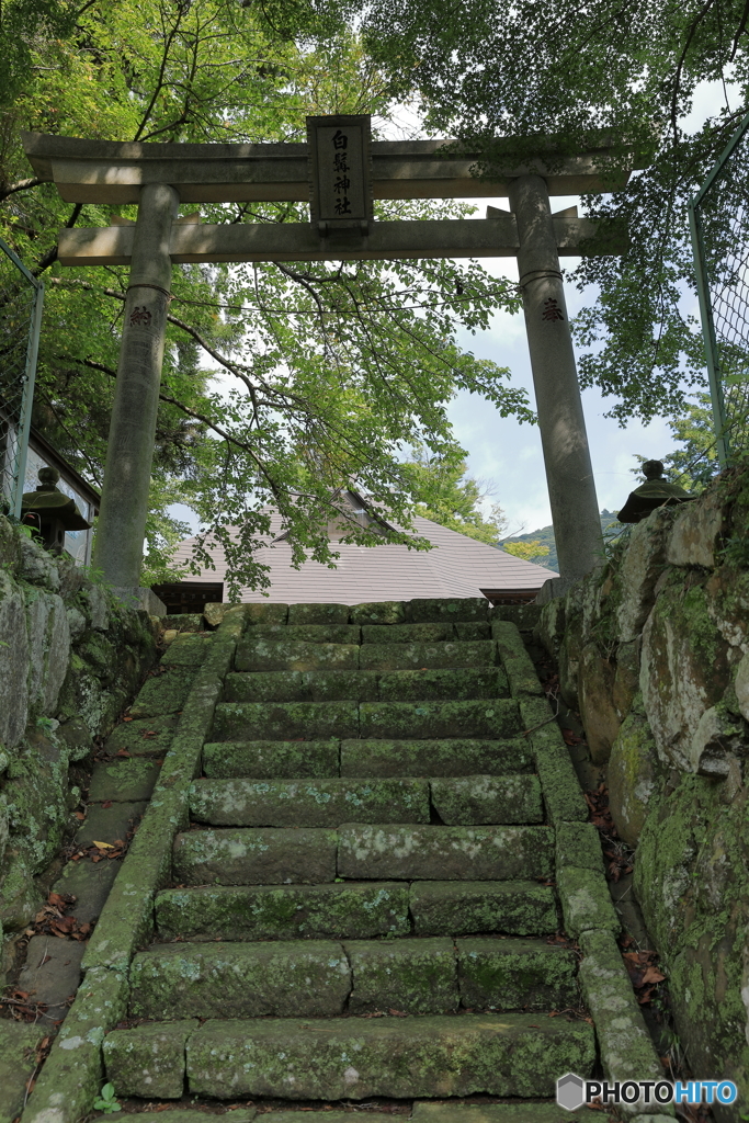 白髭神社1