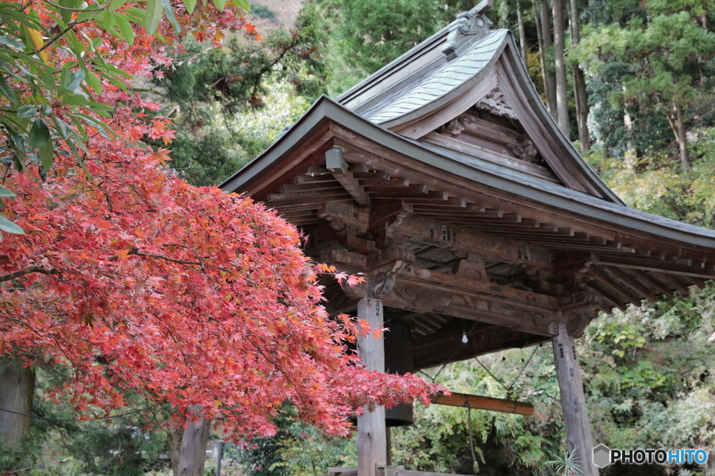 大山(神奈川県伊勢原市）13