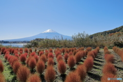 富士山と河口湖20