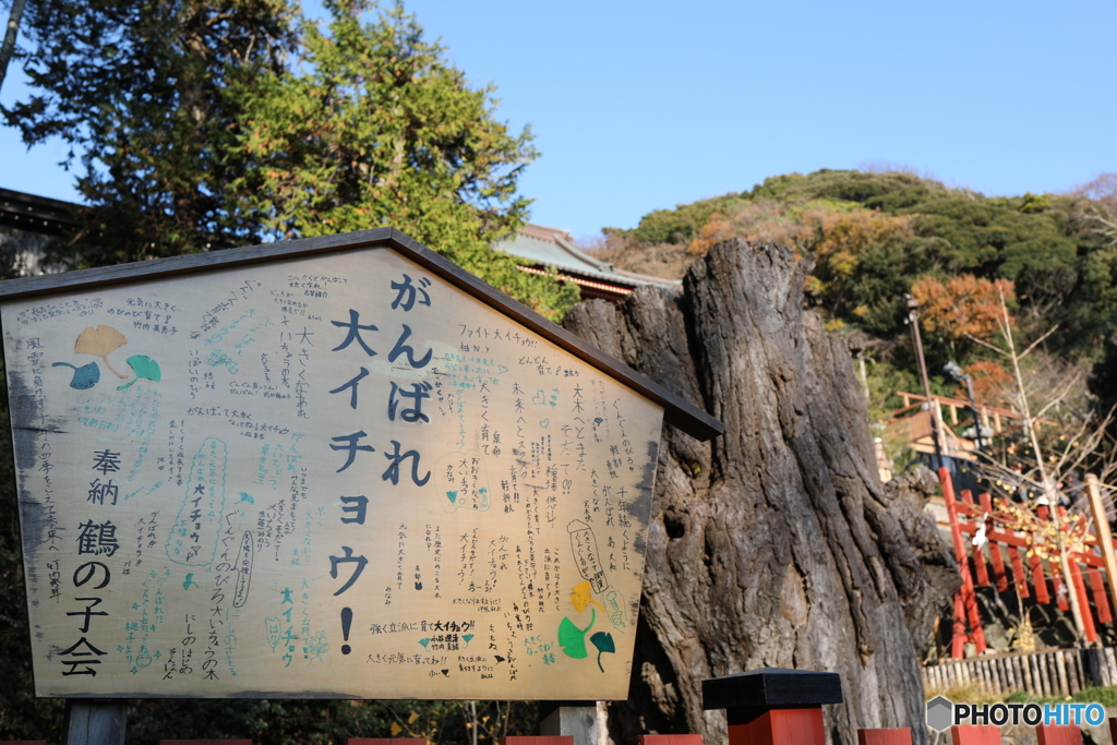 鶴岡八幡宮Ⅱ