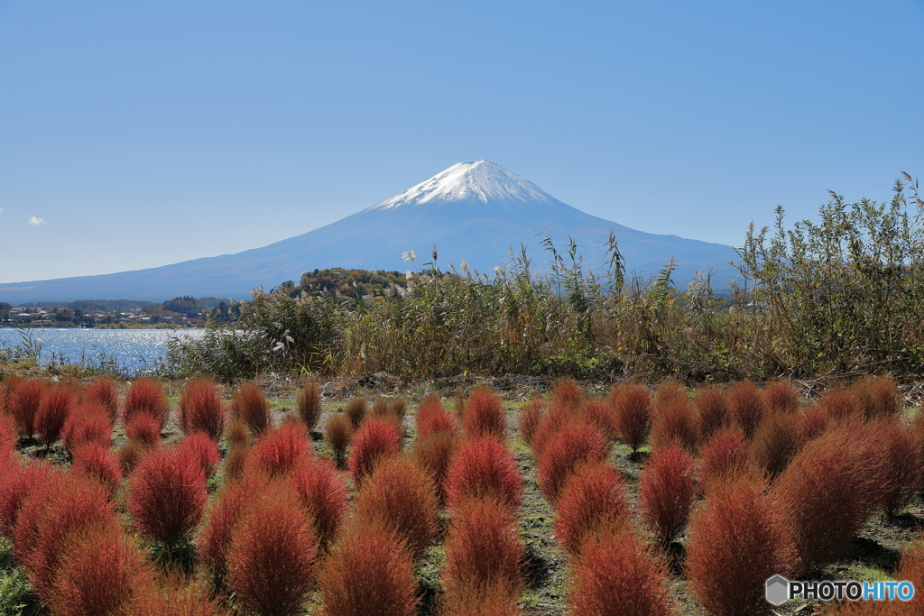 富士山と河口湖18