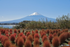 富士山と河口湖18