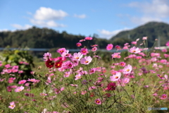 2019年11月4日5