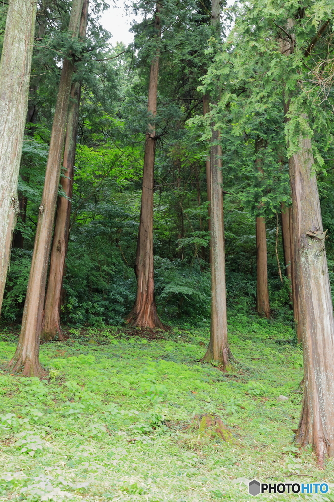 城山公園10