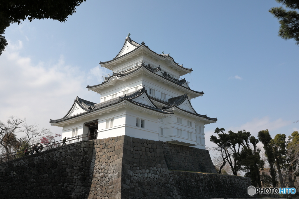 小田原城6