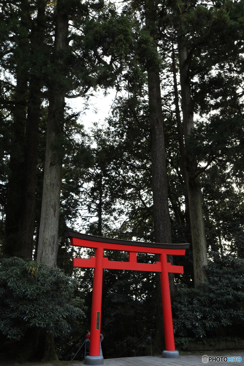 箱根神社Ⅱ