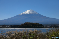 富士山と河口湖40