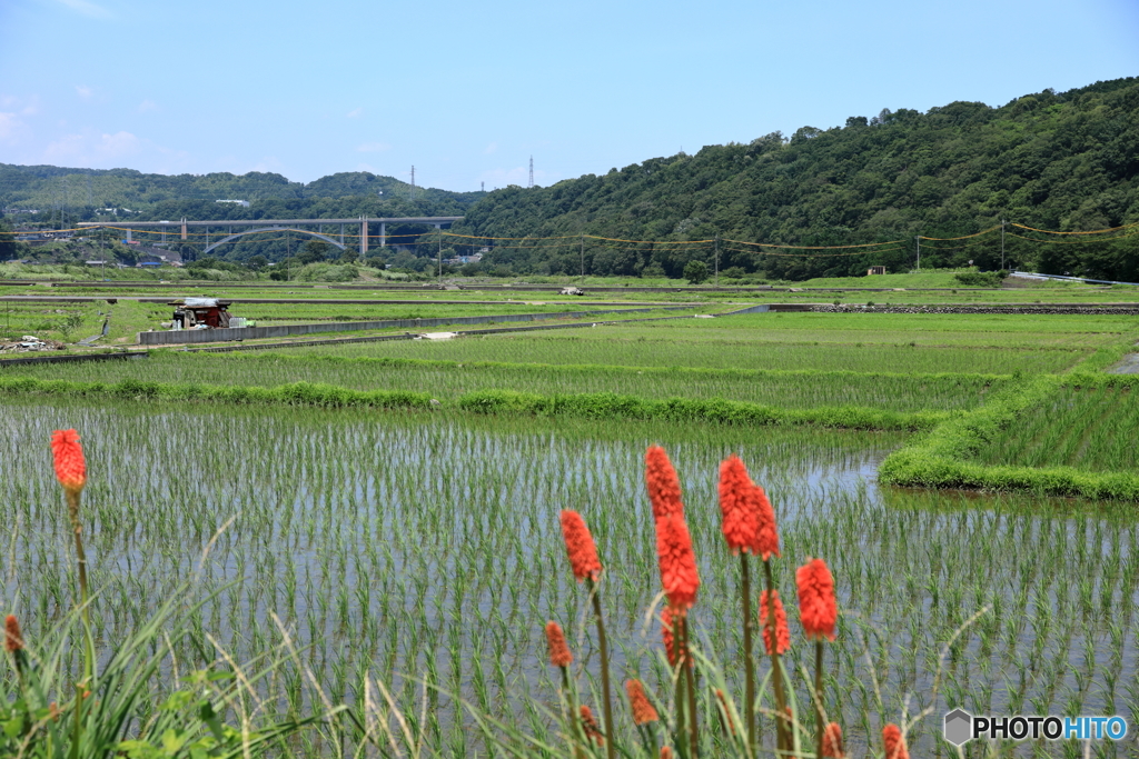 日本の風景