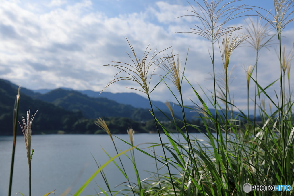 宮ケ瀬湖39