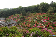 塩船観音寺②