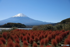 富士山と河口湖31