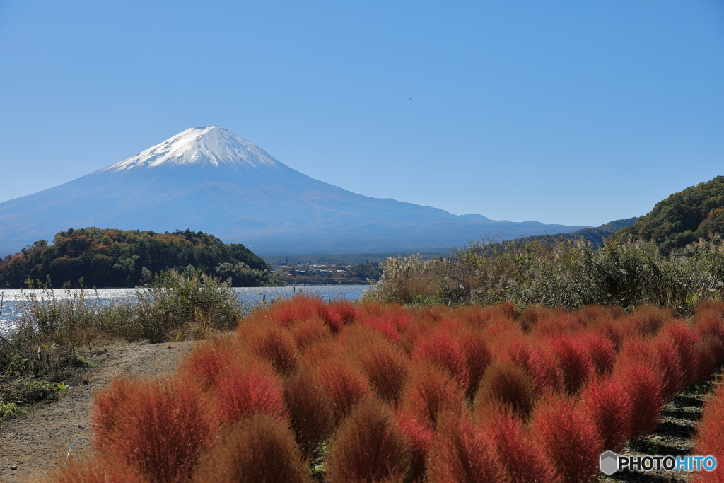 富士山と河口湖30