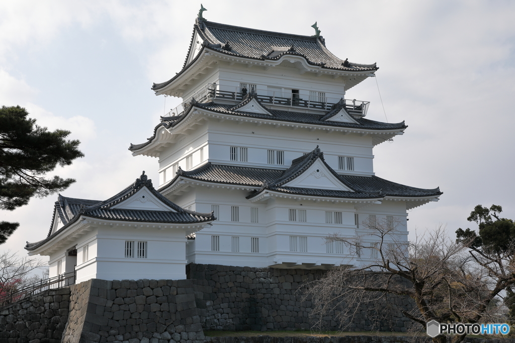 小田原城11
