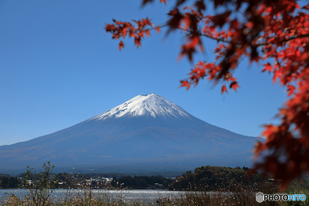 富士山と河口湖74