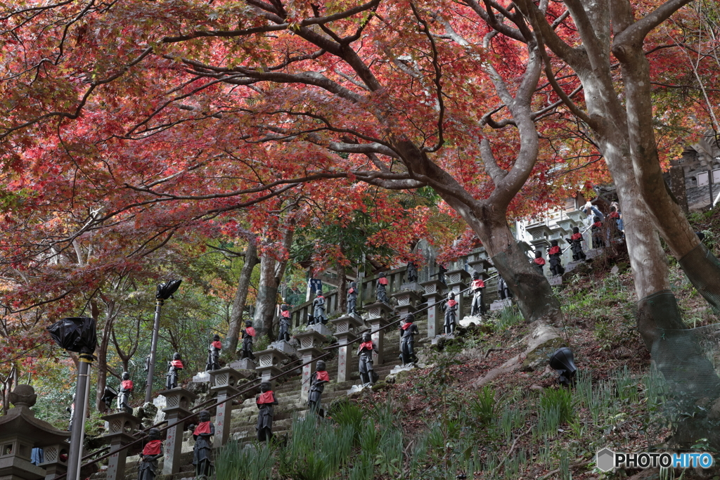 大山(神奈川県伊勢原市）2