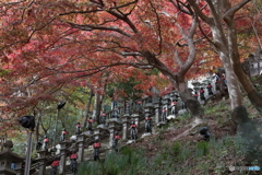 大山(神奈川県伊勢原市）2