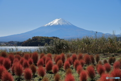 富士山と河口湖16