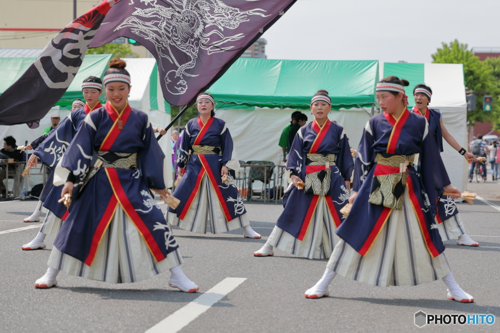 よさこい511