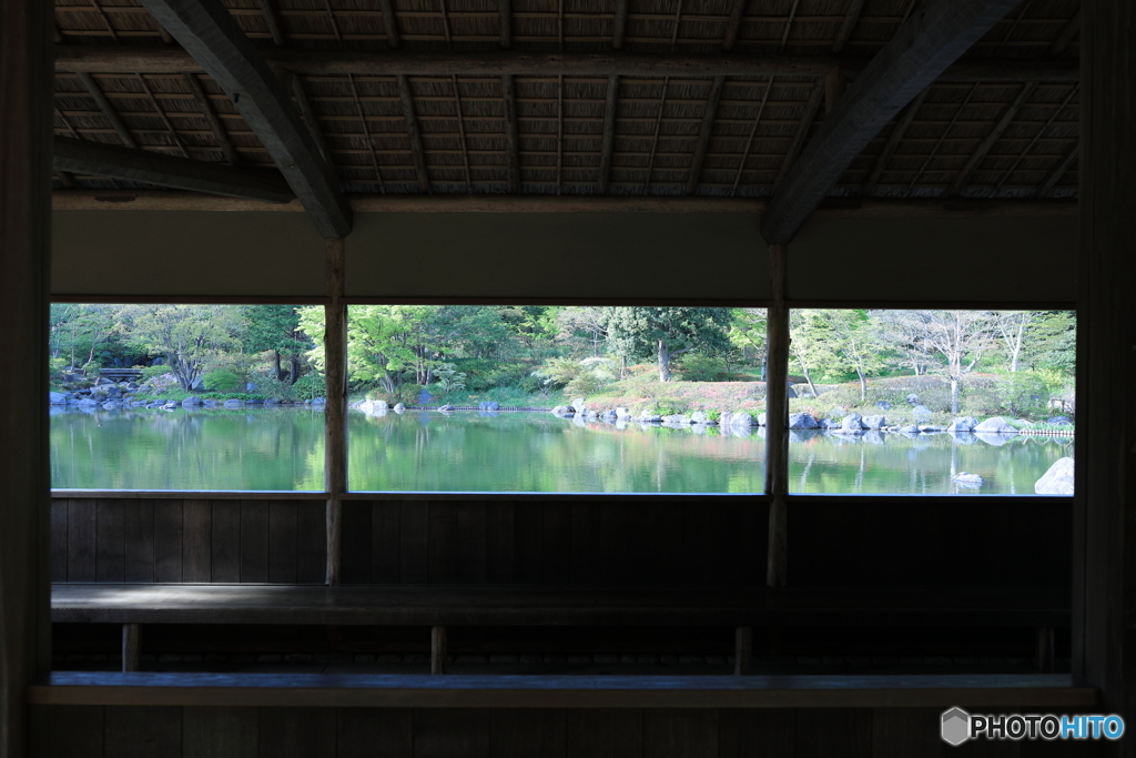 昭和記念公園⑭
