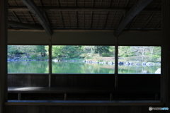 昭和記念公園⑭