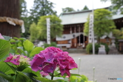 比々多神社⑤