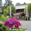 比々多神社⑤