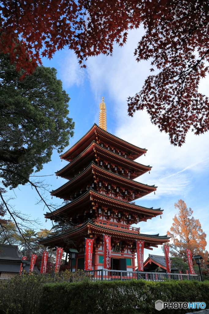 高幡不動11