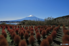 富士山と河口湖22