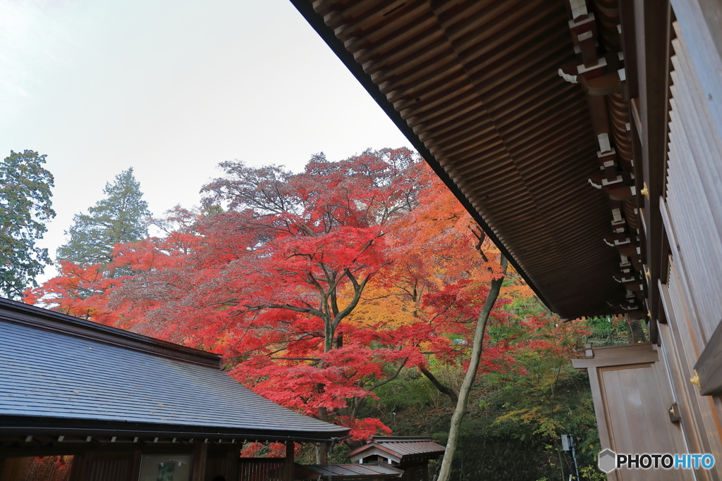 高幡不動27