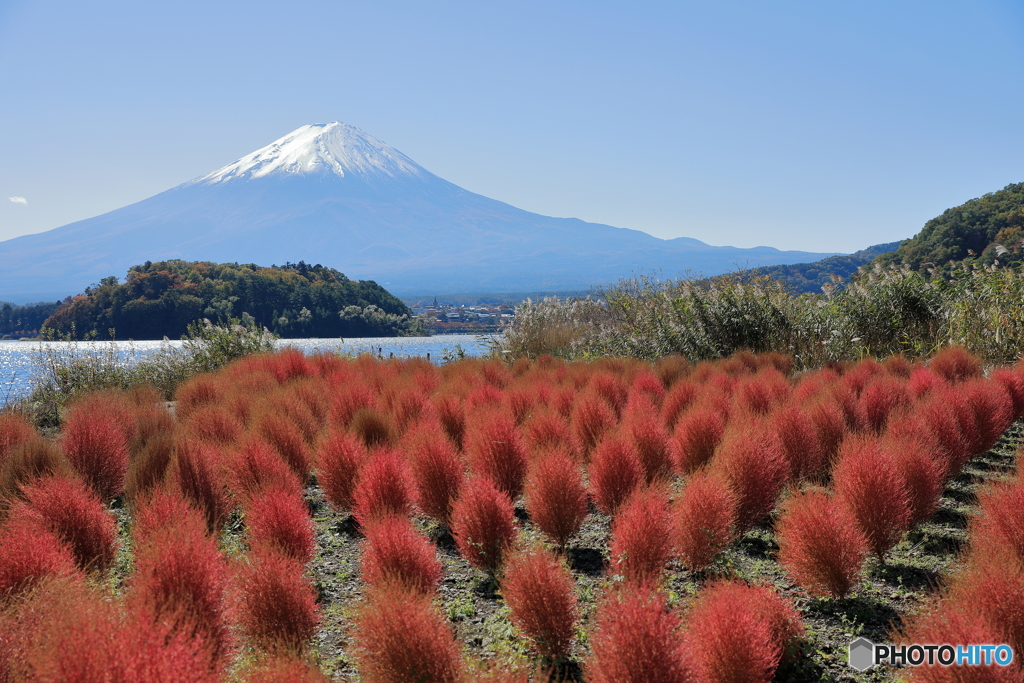富士山と河口湖32