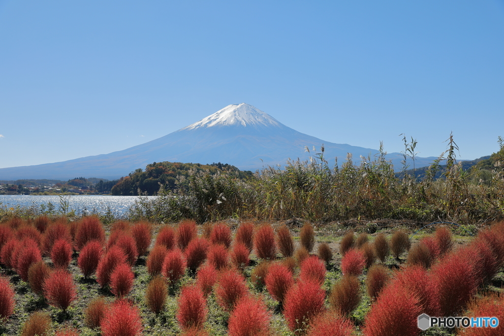 富士山と河口湖17