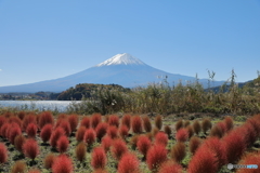 富士山と河口湖17