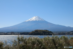 富士山と河口湖6