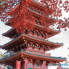 高幡不動09