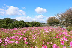 2019年11月4日23