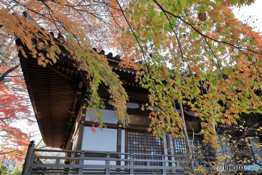 高幡不動33